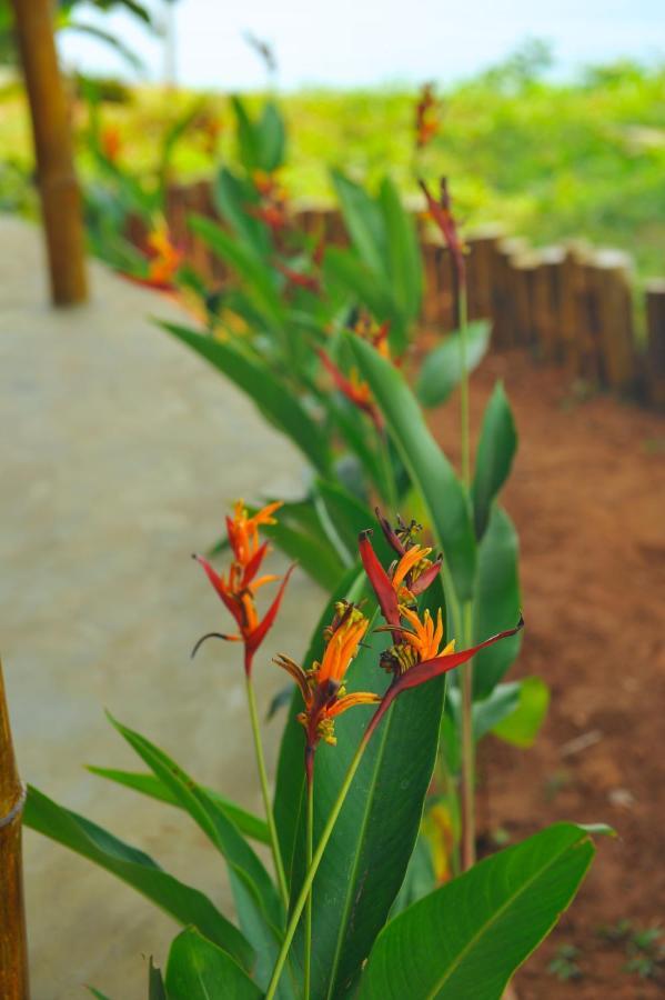 Hotel Pura Vida Varkala Exteriér fotografie